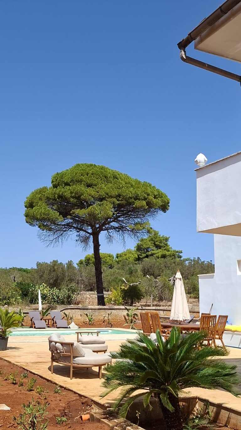 Casa Allegria Bed Wine in Parabita salento beautiful view 768x1366